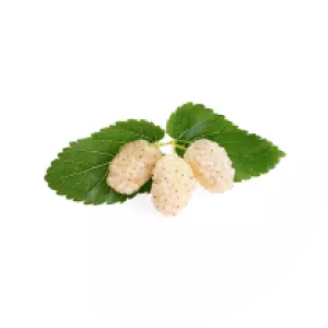 trme-MyEdge-ingredient-1