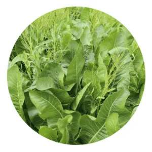 trme-RealMe-ingredient-2