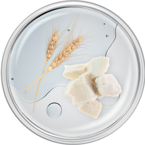 ingredient-panthenol-sodium-pca-wheat-protein-shea-butter.png