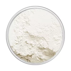 Lactobacillus ferment postbiotic powder, an ingredient used for Nutricentials Ceramides Pumps.