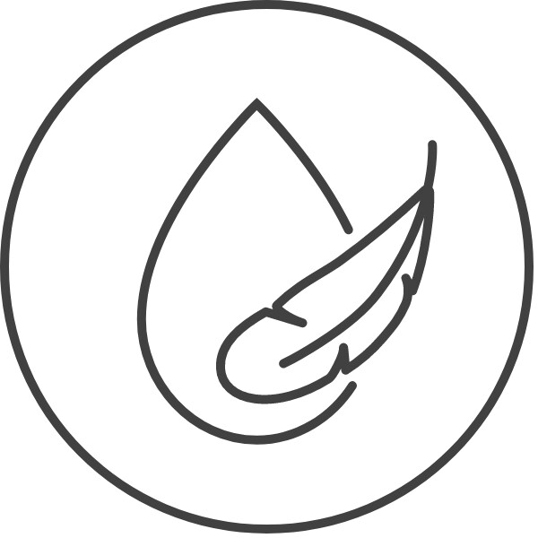 highlight icon