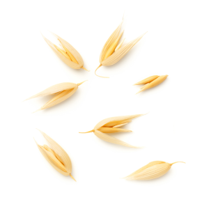A small handful of oat kernels spread around.