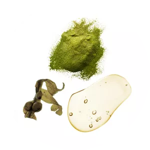 ingredient-milk_thistle