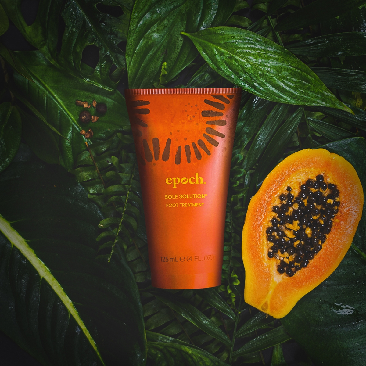 Epoch Sole Solution Epoch Sole Solution